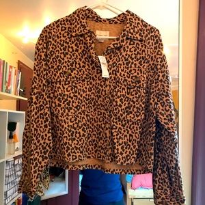 Cheetah Print Cropped Button-Down Top